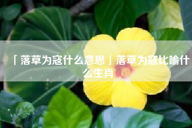  落草为寇什么意思落草为寇比喻什么生肖