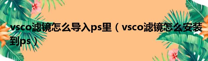 vsco滤镜怎么导入ps里 vsco滤镜怎么安装到ps