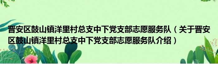晋安区鼓山镇洋里村总支中下党支部志愿服务队 关于晋安区鼓山镇洋里村总支中下党支部志愿服务队介绍