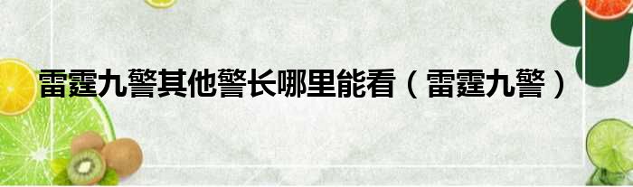 雷霆九警其他警长哪里能看 雷霆九警