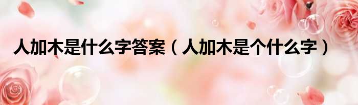 人加木是什么字答案 人加木是个什么字
