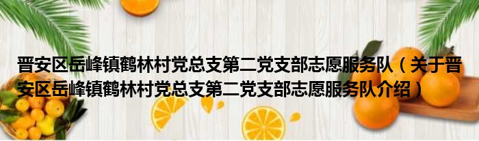 晋安区岳峰镇鹤林村党总支第二党支部志愿服务队 关于晋安区岳峰镇鹤林村党总支第二党支部志愿服务队介绍