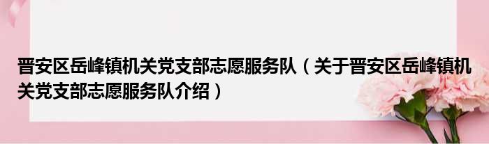 晋安区岳峰镇机关党支部志愿服务队 关于晋安区岳峰镇机关党支部志愿服务队介绍