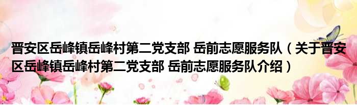 晋安区岳峰镇岳峰村第二党支部 岳前志愿服务队 关于晋安区岳峰镇岳峰村第二党支部 岳前志愿服务队介绍