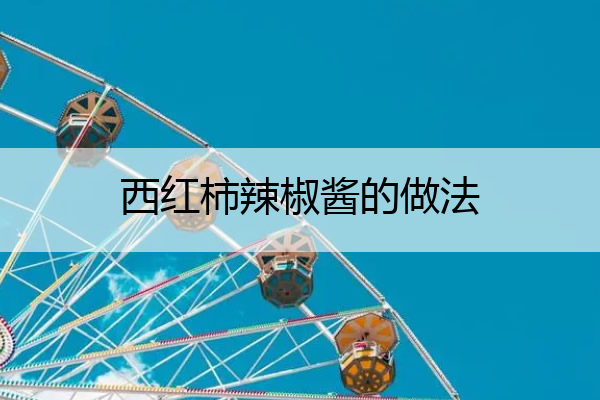 西红柿辣椒酱的做法 西红柿辣椒酱的做法文档之家