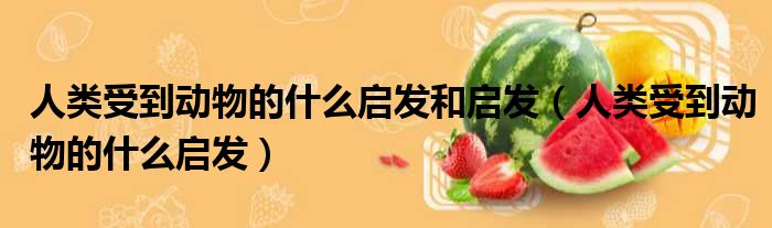 人类受到动物的什么启发和启发 人类受到动物的什么启发