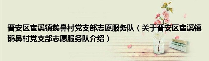 晋安区宦溪镇鹅鼻村党支部志愿服务队 关于晋安区宦溪镇鹅鼻村党支部志愿服务队介绍