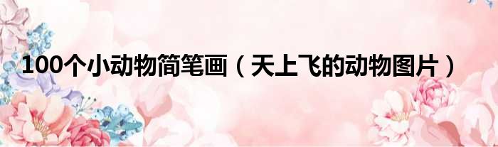 100个小动物简笔画 天上飞的动物图片