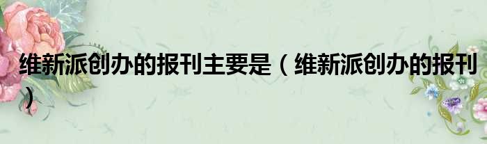 维新派创办的报刊主要是 维新派创办的报刊