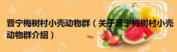 晋宁梅树村小壳动物群 关于晋宁梅树村小壳动物群介绍