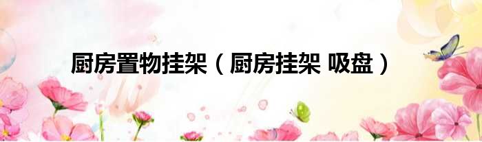 厨房置物挂架 厨房挂架 吸盘