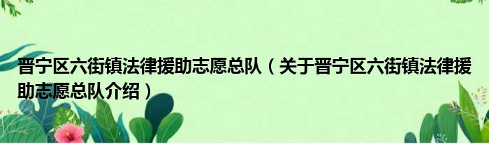 晋宁区六街镇法律援助志愿总队 关于晋宁区六街镇法律援助志愿总队介绍