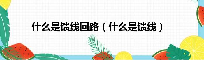 什么是馈线回路 什么是馈线