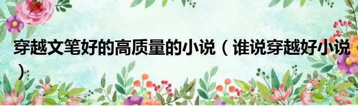 穿越文笔好的高质量的小说 谁说穿越好小说