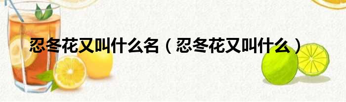 忍冬花又叫什么名 忍冬花又叫什么