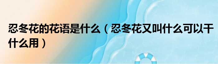 忍冬花的花语是什么 忍冬花又叫什么可以干什么用