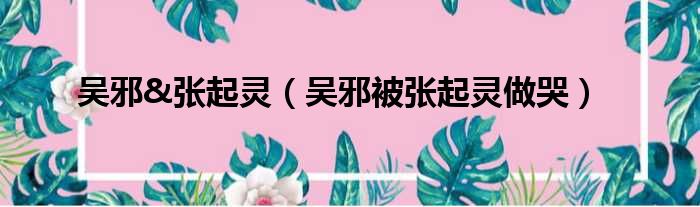 吴邪&张起灵 吴邪被张起灵做哭