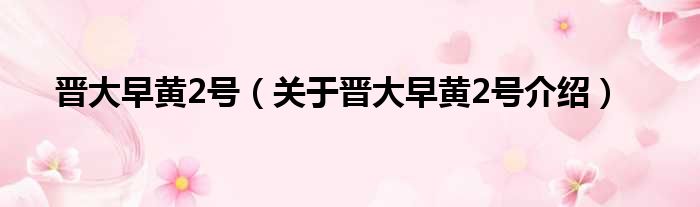 晋大早黄2号 关于晋大早黄2号介绍