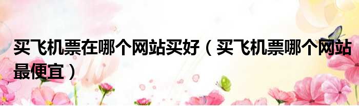 买飞机票在哪个网站买好 买飞机票哪个网站最便宜