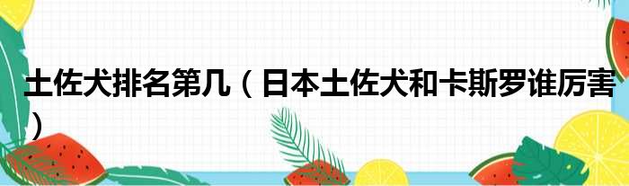 土佐犬排名第几 日本土佐犬和卡斯罗谁厉害