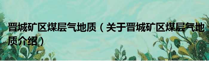 晋城矿区煤层气地质 关于晋城矿区煤层气地质介绍
