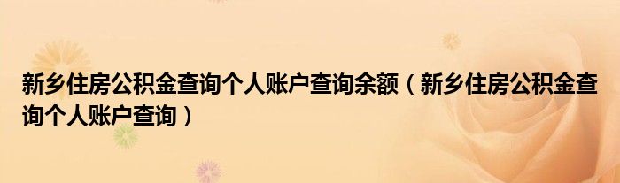 新乡住房公积金查询个人账户查询余额 新乡住房公积金查询个人账户查询