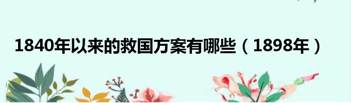 1840年以来的救国方案有哪些 1898年