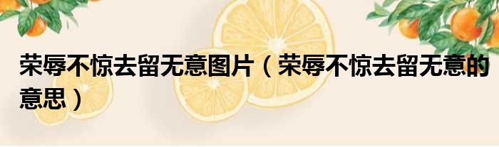 荣辱不惊去留无意图片 荣辱不惊去留无意的意思