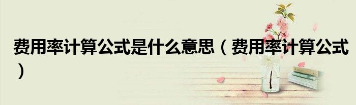 费用率计算公式是什么意思 费用率计算公式