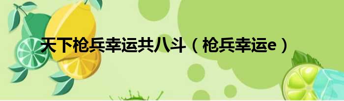 天下枪兵幸运共八斗 枪兵幸运e