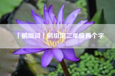  鹂组词鹂组词二年级两个字