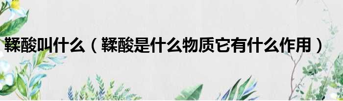 鞣酸叫什么 鞣酸是什么物质它有什么作用