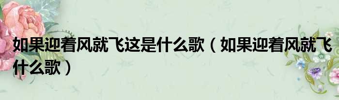 如果迎着风就飞这是什么歌 如果迎着风就飞什么歌