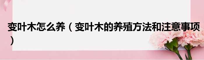 变叶木怎么养 变叶木的养殖方法和注意事项