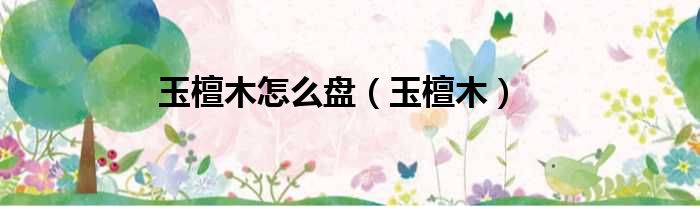 玉檀木怎么盘 玉檀木