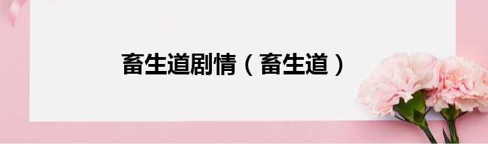 畜生道剧情 畜生道