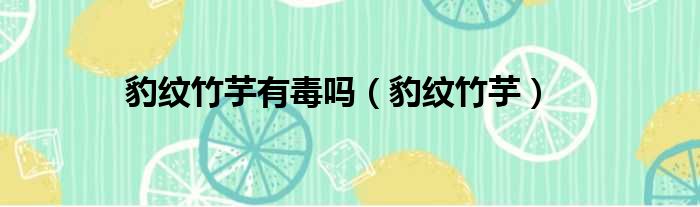 豹纹竹芋有毒吗 豹纹竹芋