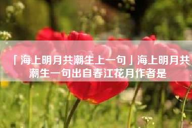  海上明月共潮生上一句海上明月共潮生一句出自春江花月作者是