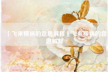  飞来横祸的意思解释飞来横祸的意思解释