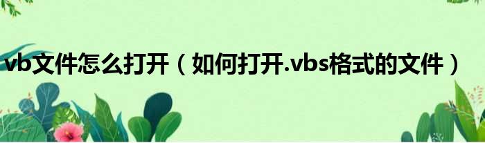 vb文件怎么打开 如何打开.vbs格式的文件