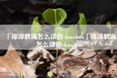  谆谆教诲怎么读音chunchun谆谆教诲怎么读音chunchun
