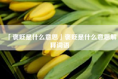  褒贬是什么意思褒贬是什么意思解释词语