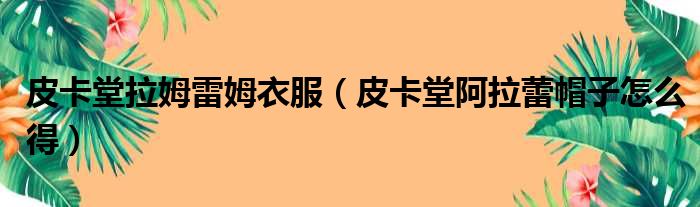 皮卡堂拉姆雷姆衣服 皮卡堂阿拉蕾帽子怎么得