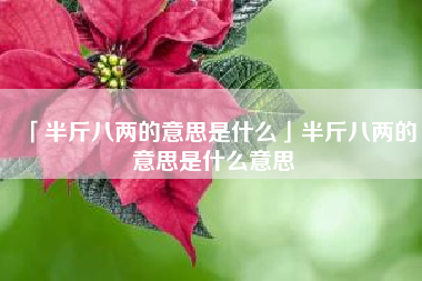  半斤八两的意思是什么半斤八两的意思是什么意思