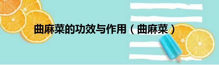 曲麻菜的功效与作用 曲麻菜