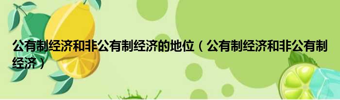 公有制经济和非公有制经济的地位 公有制经济和非公有制经济