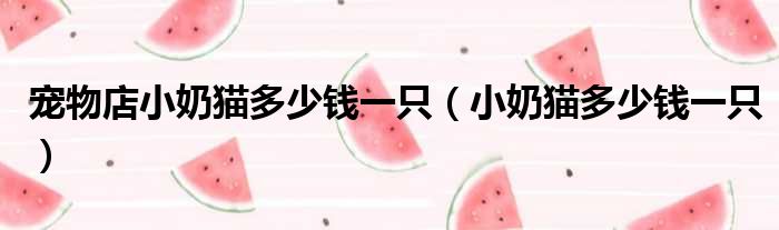 宠物店小奶猫多少钱一只 小奶猫多少钱一只