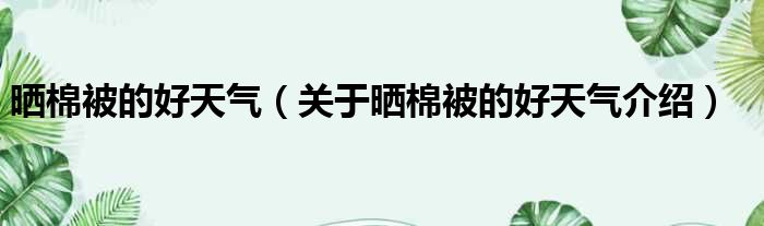 晒棉被的好天气 关于晒棉被的好天气介绍