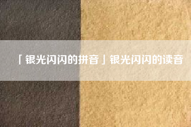  银光闪闪的拼音银光闪闪的读音