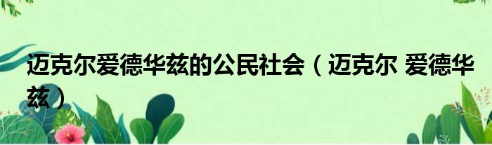 迈克尔爱德华兹的公民社会 迈克尔 爱德华兹